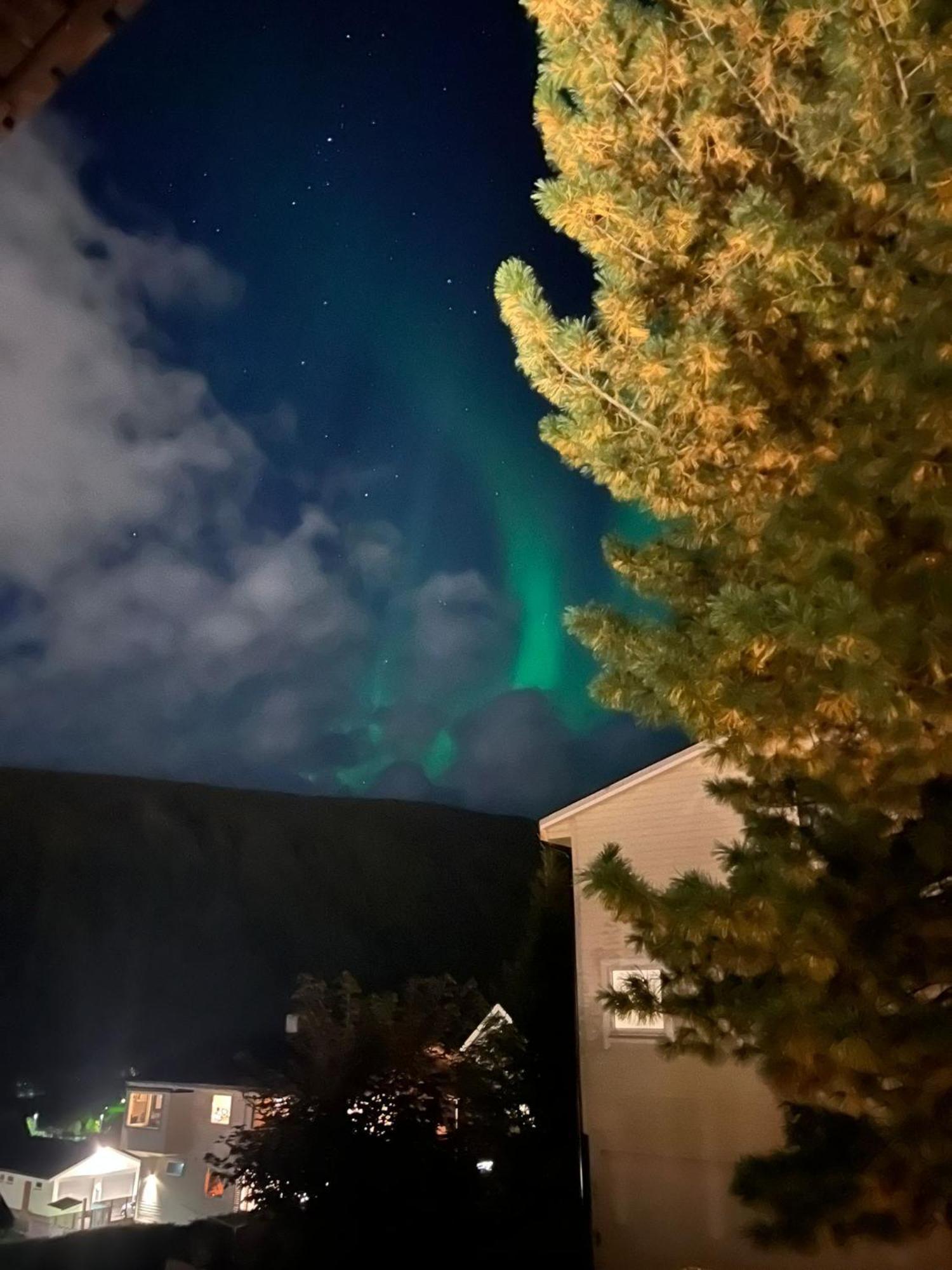 Tromso Arctic Villa With Free Parking Exterior photo
